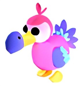 Dodo