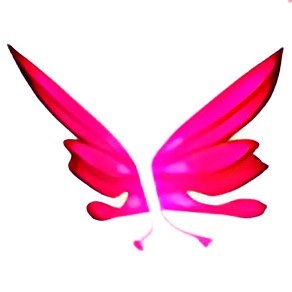 Pink Butterfly Wing