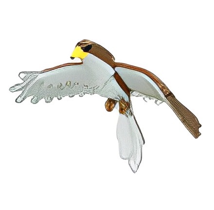 Hawk